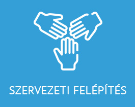 Szervezeti felépítés